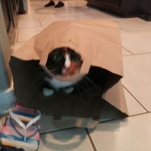 Meet your Posher, Debra